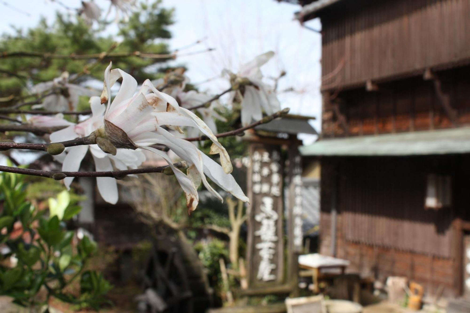 Magome Chaya Hotel Nakacugava Kültér fotó
