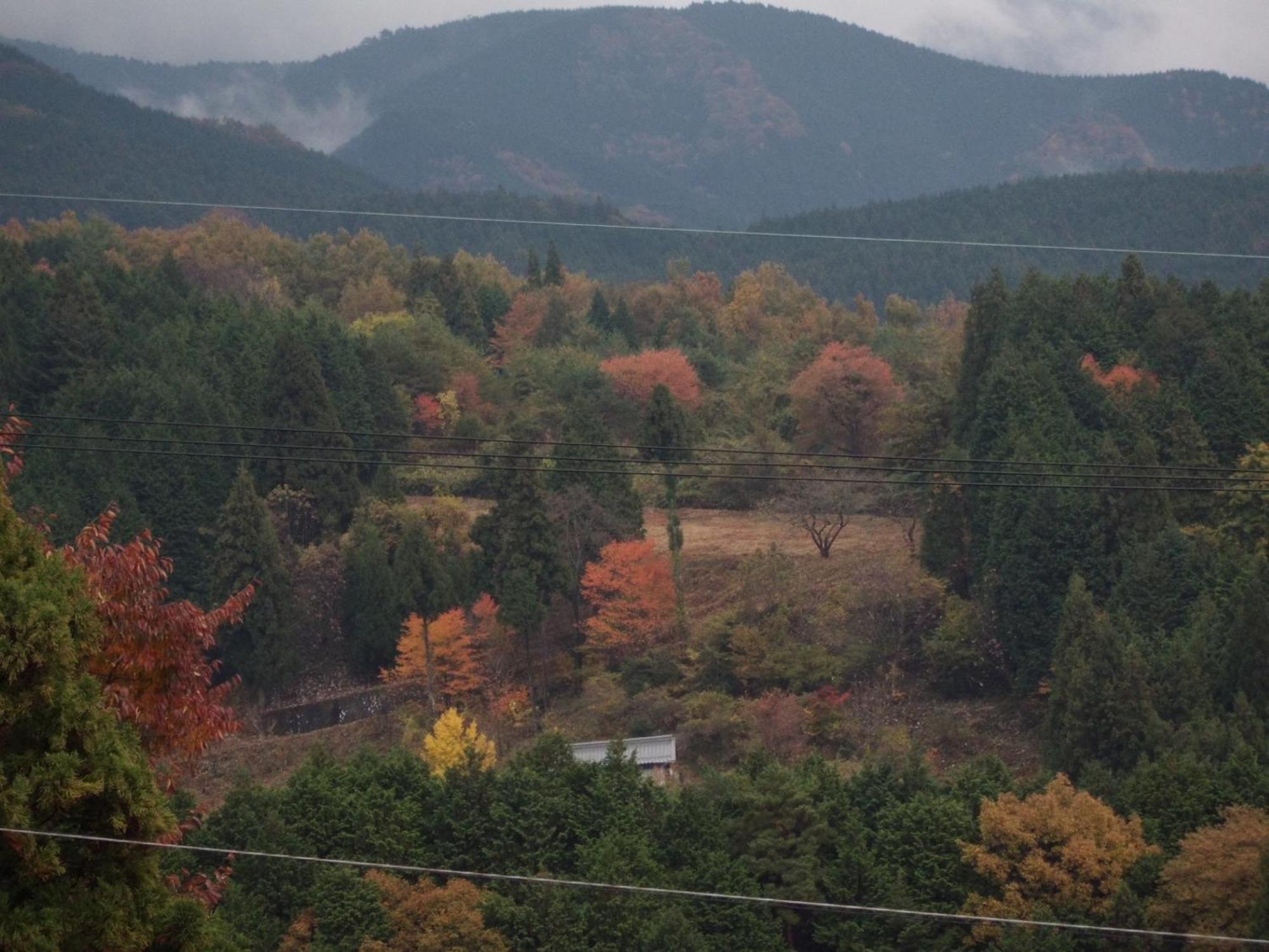Magome Chaya Hotel Nakacugava Kültér fotó
